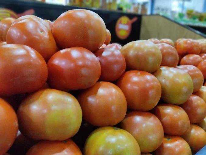 Tomates frescos exhibidos en Hortiluma